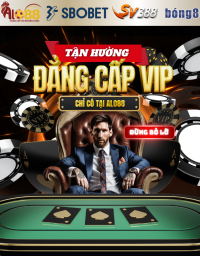 Alo88 - Nhà Cái Tin Cậy Cho Những Người Yêu Cá Cược Online 5 Dang Cap Vip Alo88 900X900 1 200X256 1