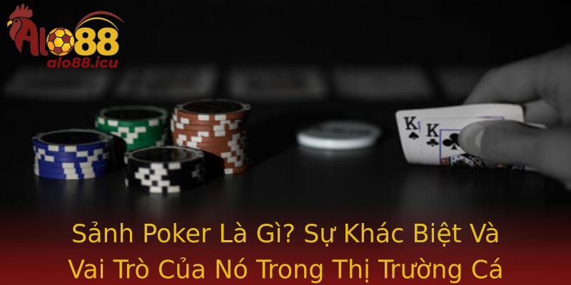 Sảnh Poker Là Gì? Sự Khác Biệt Và Vai Trò Của Nó Trong Thị Trường Cá Cược Trực Tuyến Sảnh Poker Là Gì? Sự Khác Biệt Và Vai Trò Của Nó Trong Thị Trường Cá Cược Trực Tuyến